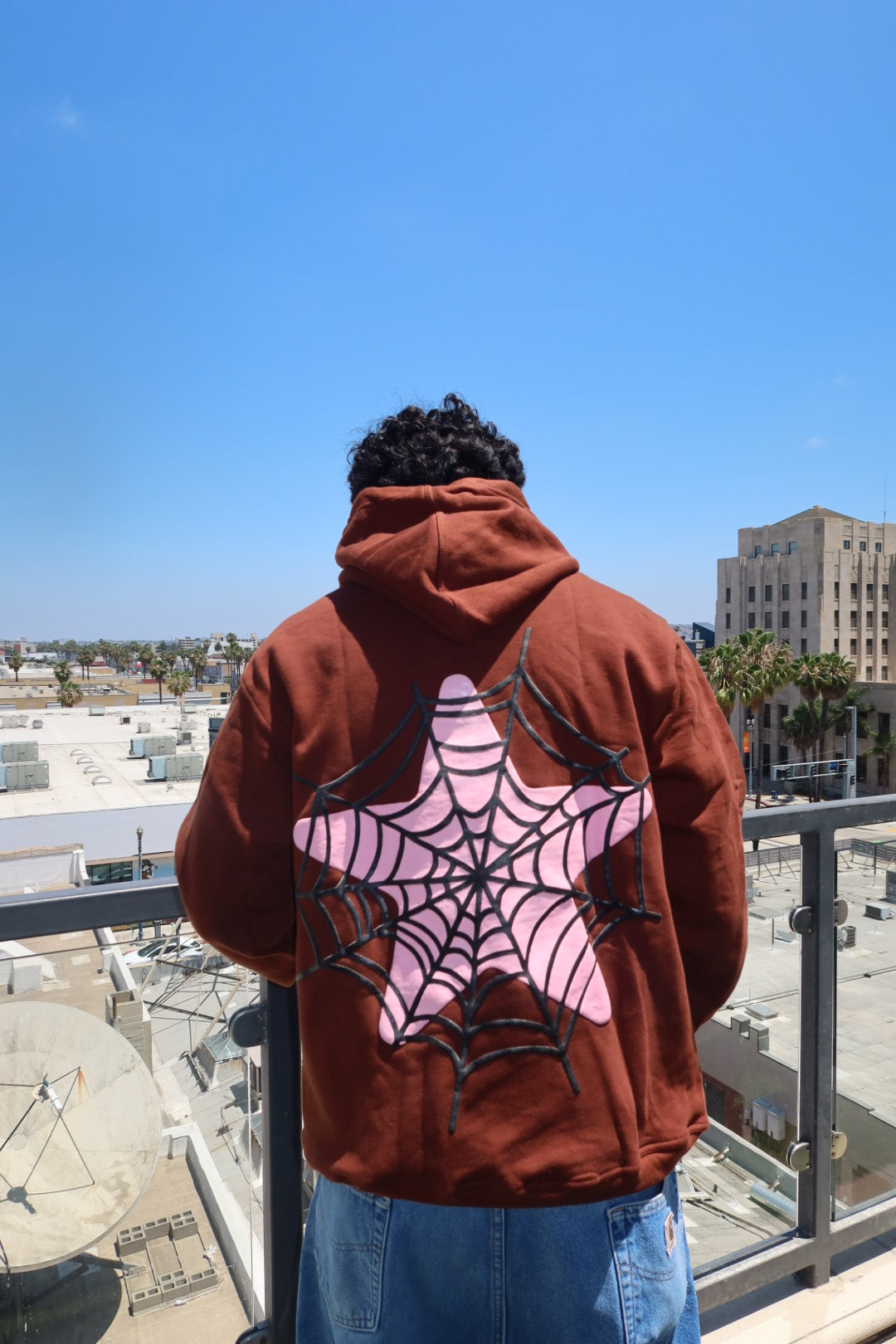 Web Hoodie Brown